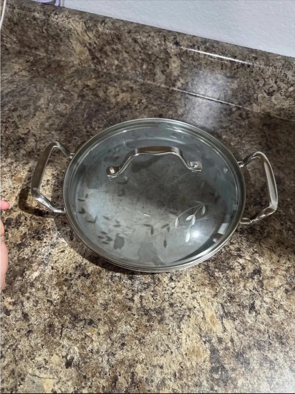 Princess House Stainless Steel Sauté Pan with Glass Lid - Silver